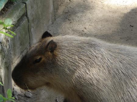 jc plus ce ke c g oublié !