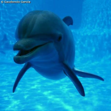 aaahhhhhhh jm tro...